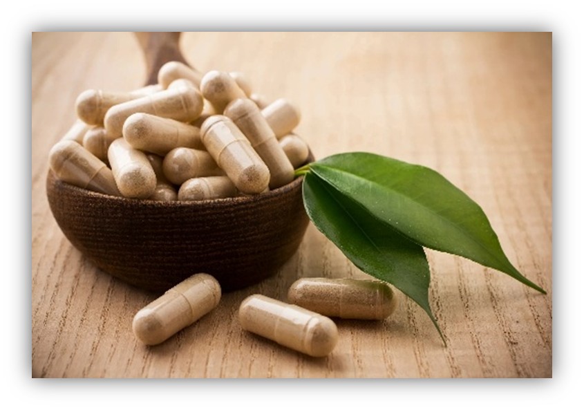 Healsee Capsules Making $65M Investment, Bringing 100+ New Jobs to Gaston County